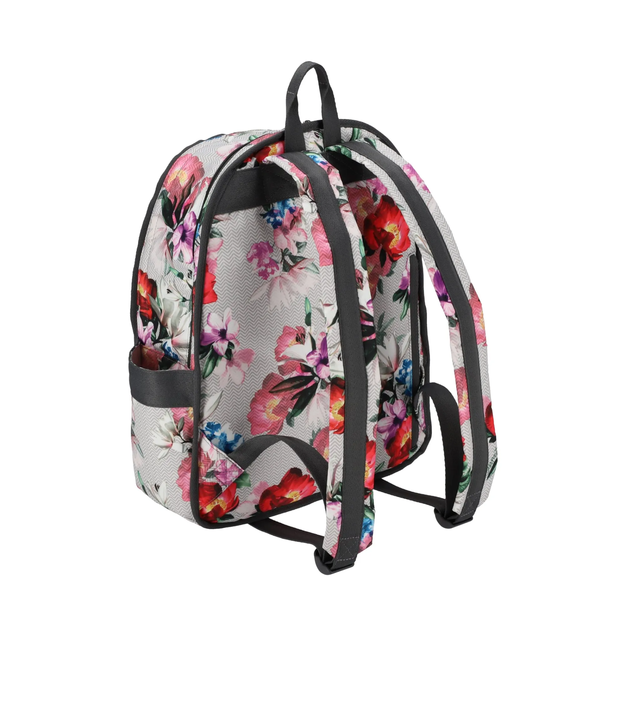 Route Backpack-LeSportsac Cheap